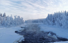 Northern Future2