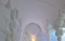 Northern Future8