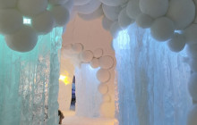 Northern Future9