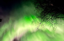 Northern Future12