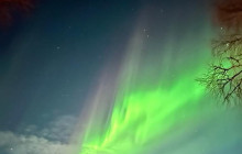 Northern Future14
