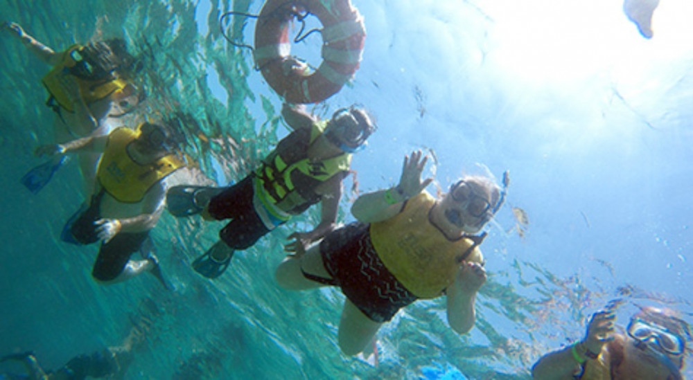 Swim with Turtles Cancun and Seaside Parasailing with Transportation