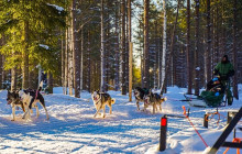 Northern Future2
