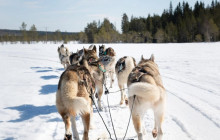 Northern Future4