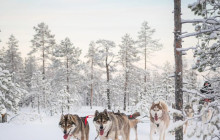 Northern Future5