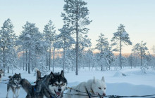 Northern Future6