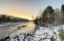 Northern Future8