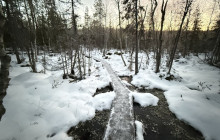 Northern Future3