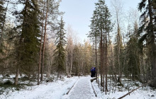 Northern Future4