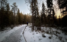 Northern Future5