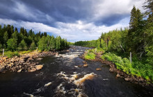 Northern Future6