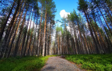 Northern Future7