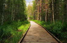 Northern Future8
