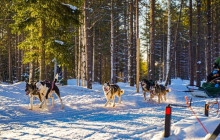 Northern Future2