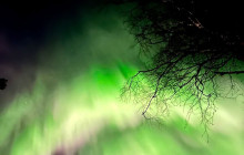 Northern Future2