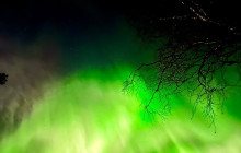 Northern Future4