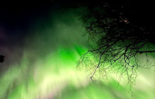 Northern Future2