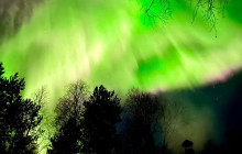 Northern Future4