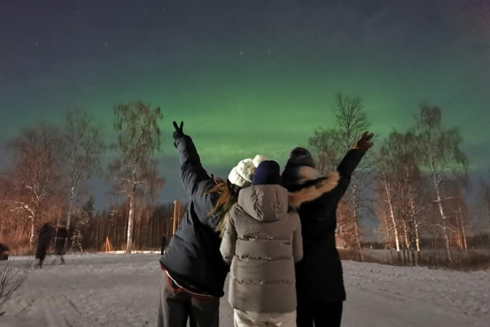 Rovaniemi: Aurora Hunting & Photography Tour