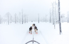 Northern Future12