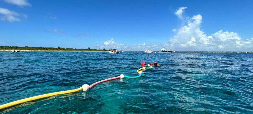 Catalina Dive Excursion - Punta Cana