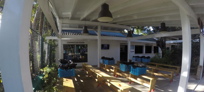 Catalina Dive Excursion - Punta Cana