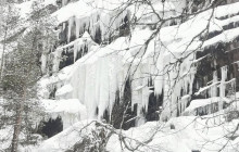Northern Future4