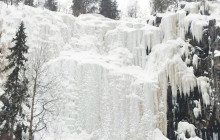 Northern Future7