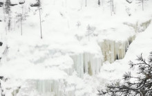 Northern Future8