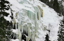 Northern Future9
