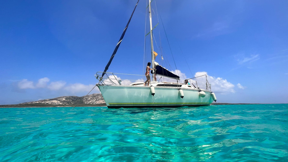 From Stintino: Sailboat Tour to Asinara with Lunch