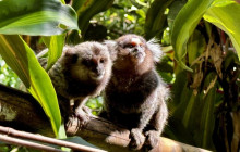 Itaway Ecotours7