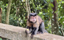 Itaway Ecotours14