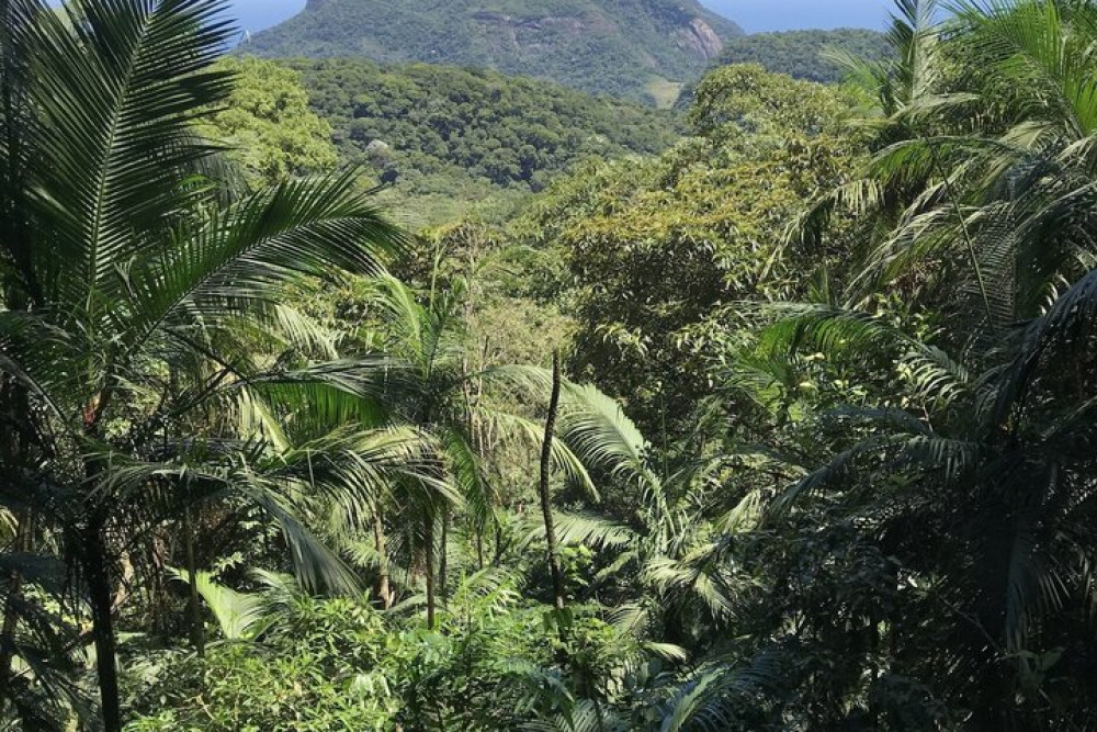 Itaway Ecotours