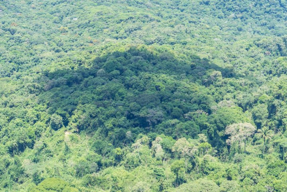 Hiking Excursion in Rio National Park: Pedra Da Gávea Trail
