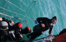 Ivanhoe Sea Safaris2
