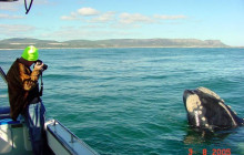 Ivanhoe Sea Safaris5