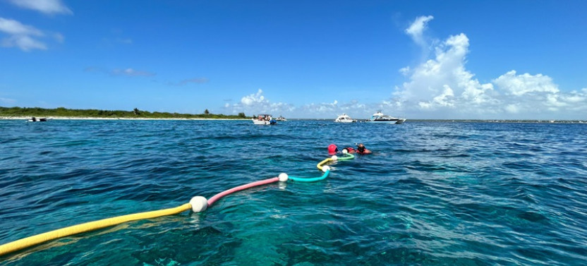Catalina Dive Excursion From Bayahibe
