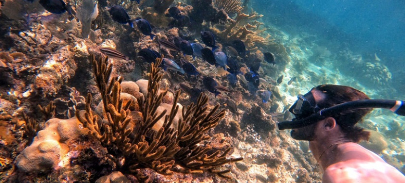 Catalina Dive Excursion From Bayahibe