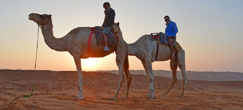 8 Days Oman Tour - Explore Oman