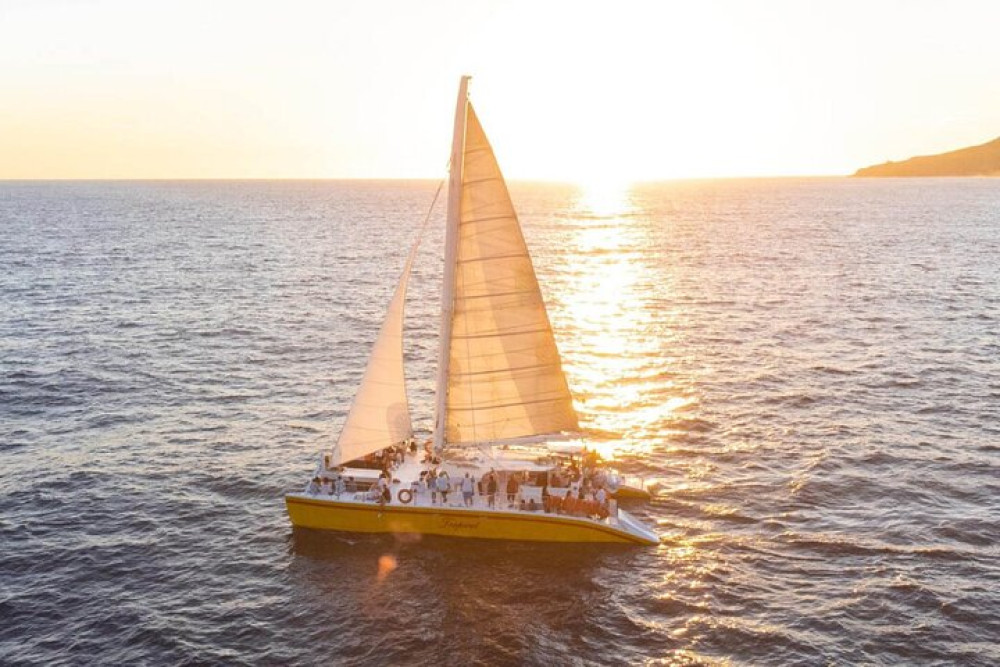 Los Cabos Whale Watching and Sunset Tour