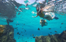 Next Experience Travel3