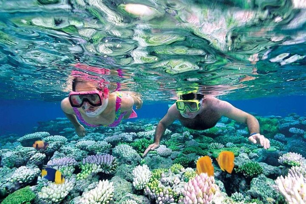 Cancun 5 in 1 Snorkeling Tour: MUSA, Shipwreck, Reefs & Cenotes