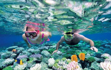 Next Experience Travel1
