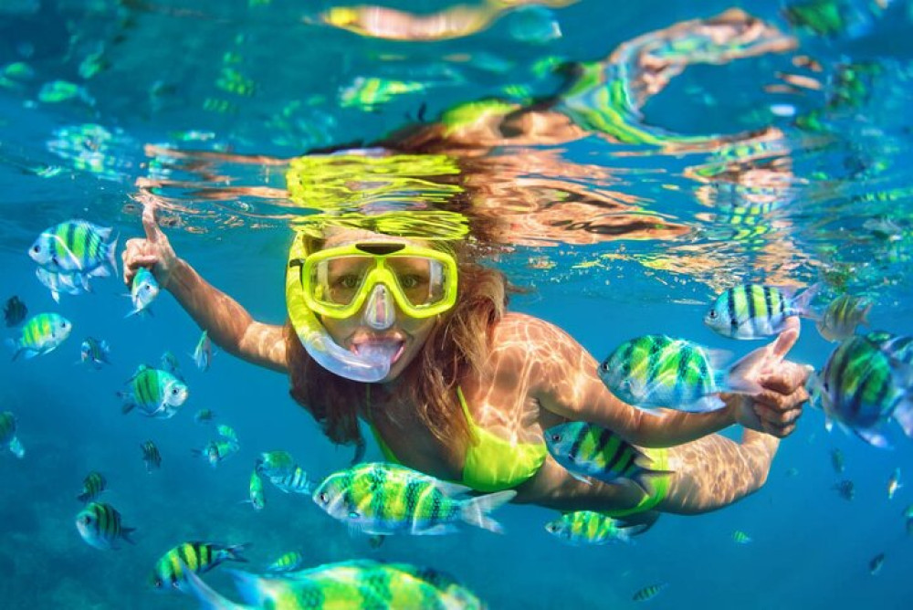 Cozumel Island Tour: Mayan Ruins, Reefs, and Beach Escape