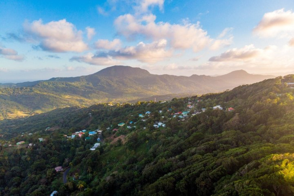 St. Lucia Sunrise Birdwatching and Rainforest Hike with Breakfast