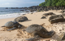 Hawaii Pacific Adventures11
