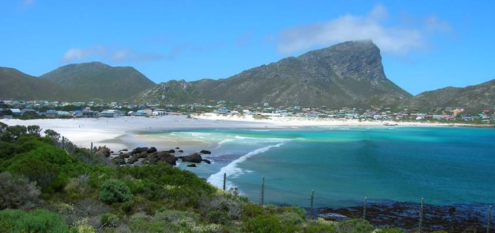 Whale Watching Full Day Tour From Cape Town