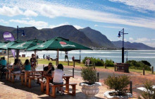 Ivanhoe Sea Safaris4
