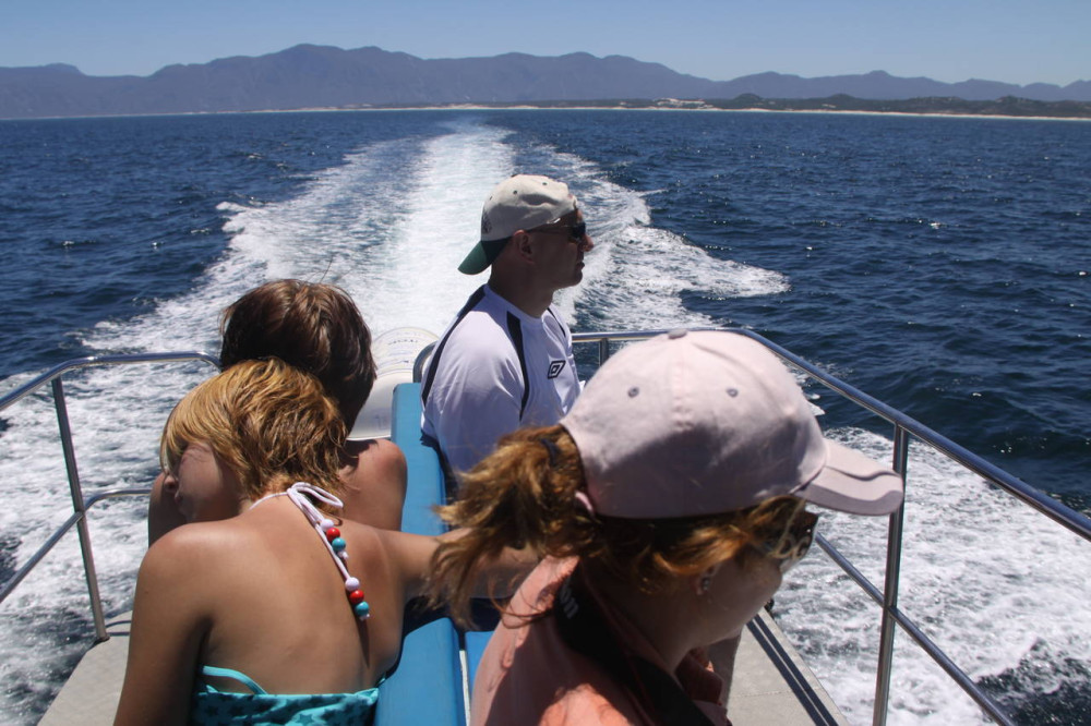 Whale Trip 1pm (jun To Dec)